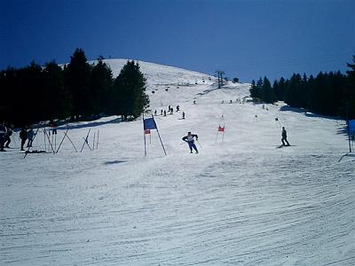 Pezz13Mar05 012